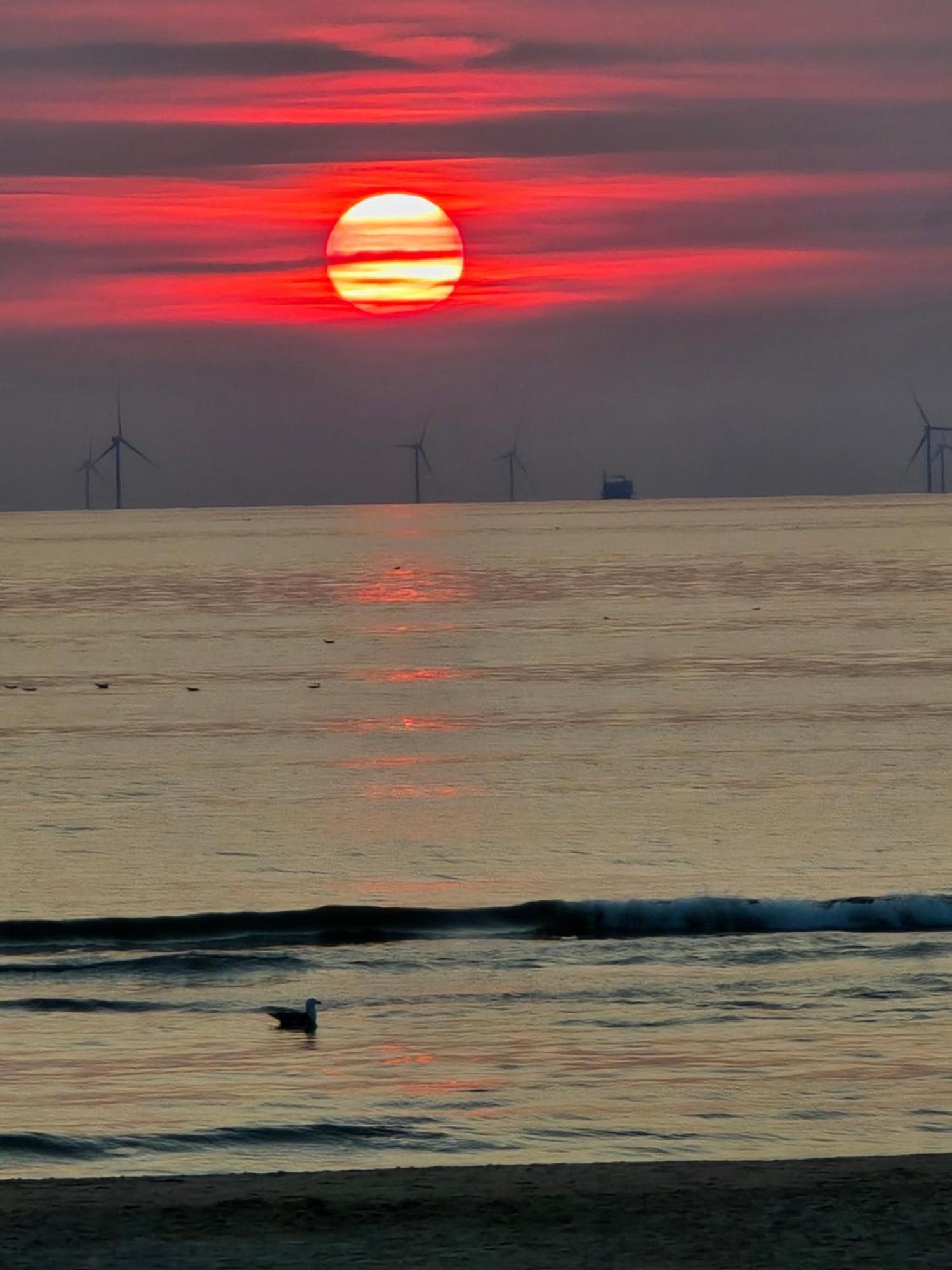 Zeezuid Villa Egmond aan Zee Kültér fotó